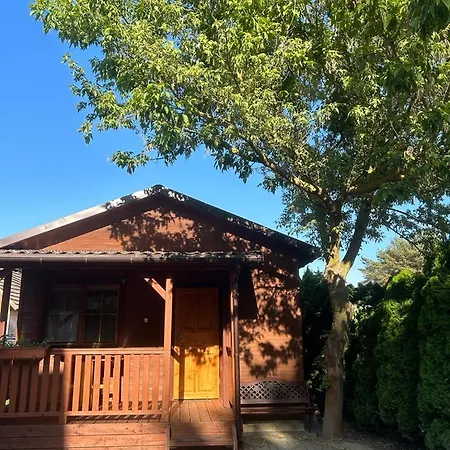 Pod Kasztanami * Jantar