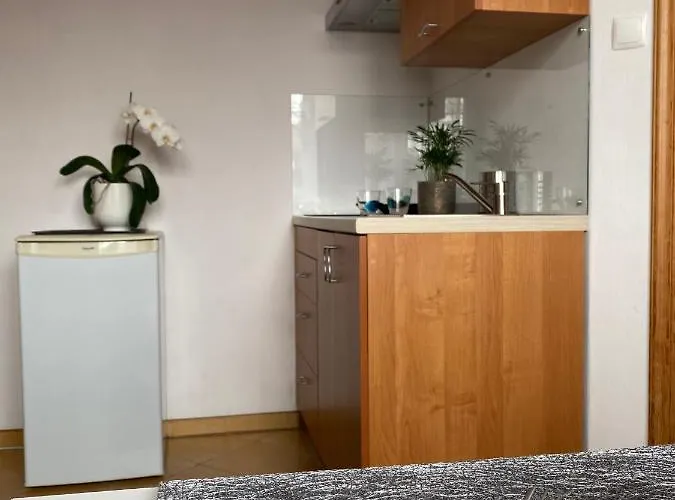 Pod Kasztanami Ubytování v soukromí Jantar