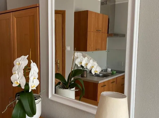 Pod Kasztanami Jantar