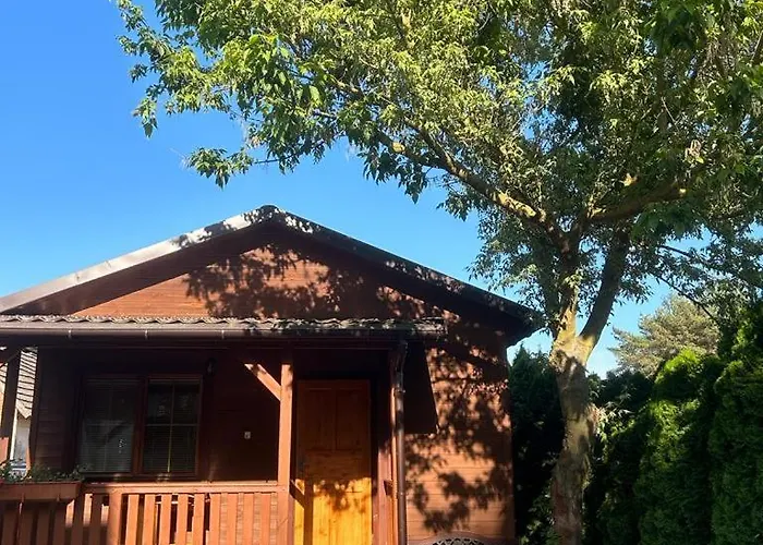 Pod Kasztanami * Jantar